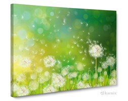 Obrazy na płótnie Canvas Panorama Dmuchawce