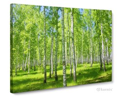 Obrazy na płótnie Canvas Panorama Las IV