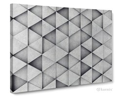 Obrazy na płótnie Canvas Panorama Polygonal Abstract II