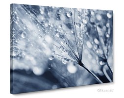 Obrazy na płótnie Canvas Panorama Dmuchawiec