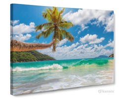 Obrazy na płótnie Canvas Panorama Tropiki II