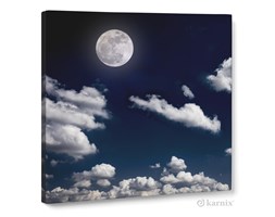 Obraz na płótnie Canvas Quadro Moon