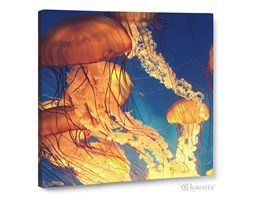 Obraz na płótnie Canvas Quadro Meduzy