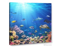 Obraz na płótnie Canvas Quadro Rafa