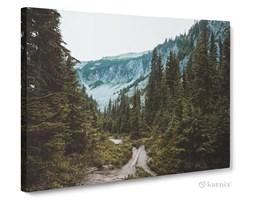 Obrazy na płótnie Canvas Panorama Górski Las