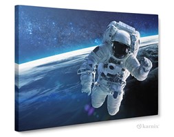 Obrazy na płótnie Canvas Panorama Space