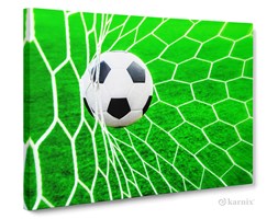 Obrazy na płótnie Canvas Panorama Football