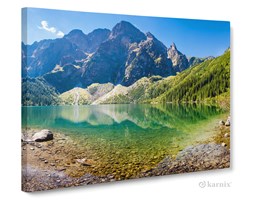 Obrazy na płótnie Canvas Panorama Tatry III