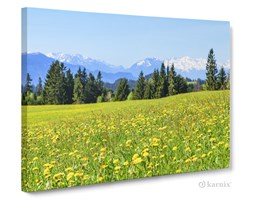 Obrazy na płótnie Canvas Panorama U podnóża gór