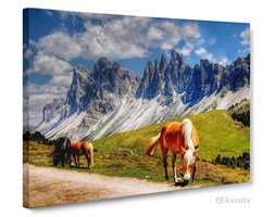 Obrazy na płótnie Canvas Panorama Mountain Horse