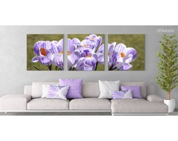 Obrazy na płótnie Canvas Tryptyk Flowers