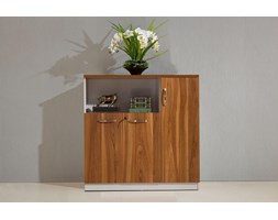 Nowoczesna komoda biurowa EVOLUTIO D306-3