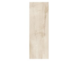 Glazura Terra 25 x 75 cm