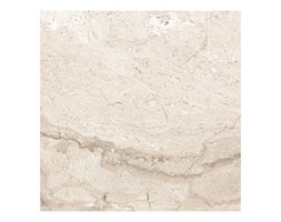 Gres 40x40