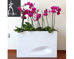 VASO (CASSETTA) MOD`O prostokątna 75x26/50 - biała lakierowana