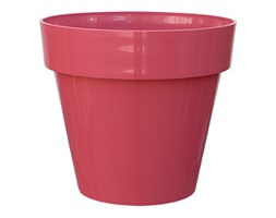 MITU XL 25 - brzoskwiniowa czerwień