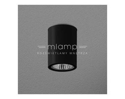 Downlight LAMPA sufitowa PET FINE surface 42311-0000-U8-PH-kolor Aqform metalowa OPRAWA tuba