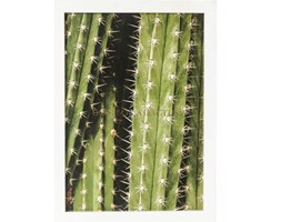 Dekoracja ścienna Cactus 45x33cm