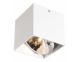 Spot Zuma Line Box SL1 89947 lampa sufitowa ruchoma oprawa natynkowa 1x42W G9 biały + żarówka LED za 1 zł GRATIS! >>> RABATUJEMY do 20% KAŻDE zamówienie !!! - wysyłka w 24h