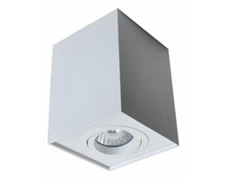 Spot Zuma Line Quadro 89200-WH lampa tuba kwadratowa 1x50W GU10 biały + żarówka LED za 1 zł GRATIS! >>> RABATUJEMY do 20% KAŻDE zamówienie !!!