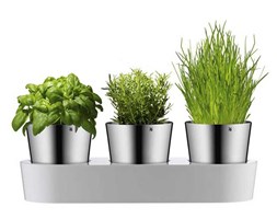 Zestaw doniczek na zioła WMF Gourmet White Silver
