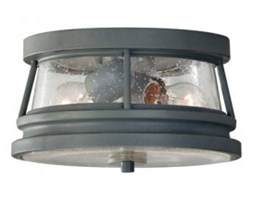 Lampa ogrodowa sufitowa CHELSEA HBR/F OL8113STC