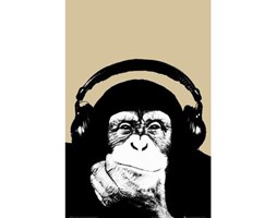 Plakat STEEZ - CHIMP 61 x 91.5 cm