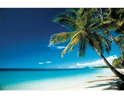Plakat BEACH - MORNING 91.5 x 61 cm