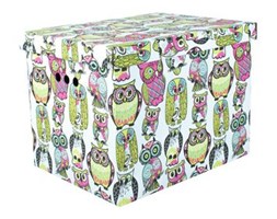 Pudło SOWY 43 L 42 X 32 X 32 CM SPACEO