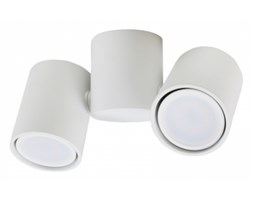 LM Light&More P 1327/2W REFLEKTOR NOWOCZESNA LAMPA SUFITOWA OPRAWA NATYNKOWA ALUMINIUM BIAŁY GU10 LED