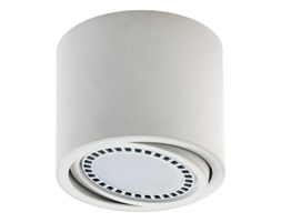 LM P 228 WH PLAFON NOWOCZESNA LAMPA SUFITOWA OPRAWA NATYNKOWA WALEC BIAŁY ES111 QR111 AR111 GU10 LED