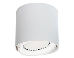 LM P 618/1 WH TUBA PLAFON NOWOCZESNA LAMPA SUFITOWA OPRAWA NATYNKOWA BIAŁY ES111 QR111 AR111 GU10 LED