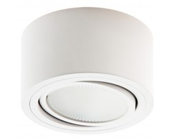 LM P 100 PLAFON NOWOCZESNA LAMPA SUFITOWA OPRAWA NATYNKOWA 12 CM ALUMINIUM BIAŁY GX53 LED NISKI