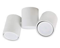 PP P Design P 1327/2W REFLEKTOR NOWOCZESNA LAMPA SUFITOWA OPRAWA NATYNKOWA ALUMINIUM BIAŁY GU10 LED