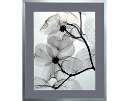Obraz 63x76cm Blossom