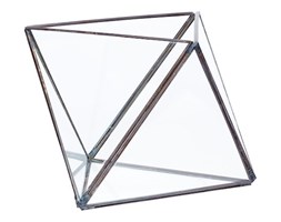Terrarium II