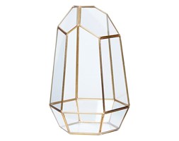 Tarrarium ICE