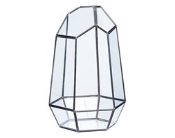 Tarrarium ICE II