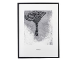 Grafika Chanterelle