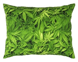 Poszewka na poduszkę Aromatica