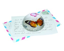 Obciążnik do papieru Nuova R2S Nostalgie motyl kod: 629 PAPI