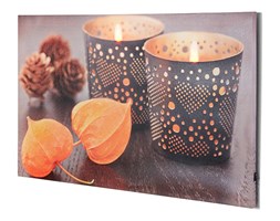 Obraz na płótnie LED Indian Summer