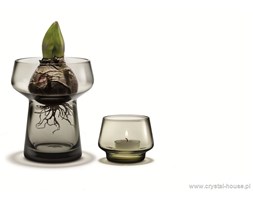 Wazon na kwiaty cebulkowe + tealight