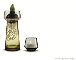 Wazon na kwiaty cebulkowe + tealight