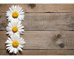 Dywan winylowy Daisy, 52x75 cm