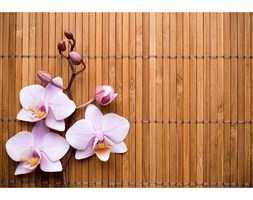 Dywan winylowy Orchid, 52x75 cm
