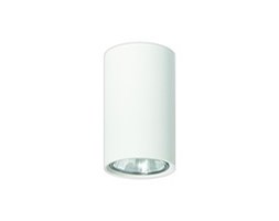 Lampa sufitowa Simba biały