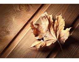 Dywan winylowy Leaf, 52x75 cm