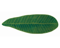 Dywanik Abyss & Habidecor Feuille Green