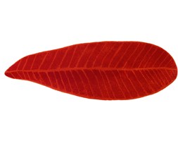 Dywanik Abyss & Habidecor Feuille Red